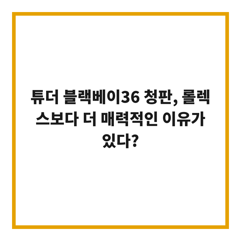 튜더 블랙베이36 청판, 롤렉스보다 더 매력적인 이유가 있다?